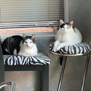 EXTRA shipping (over 5 lbs.) label